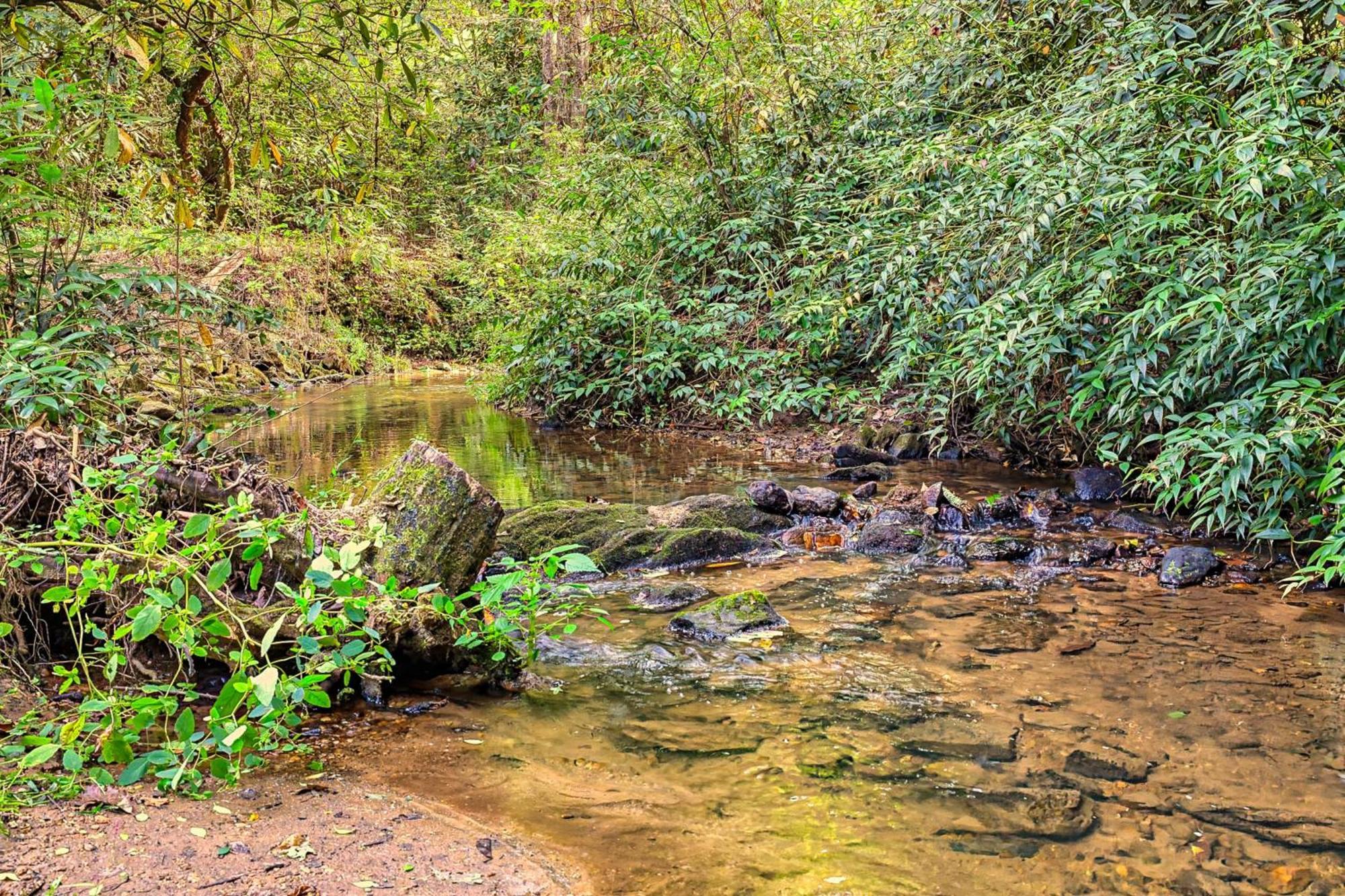 Laurel Creek Villa Helen Dış mekan fotoğraf